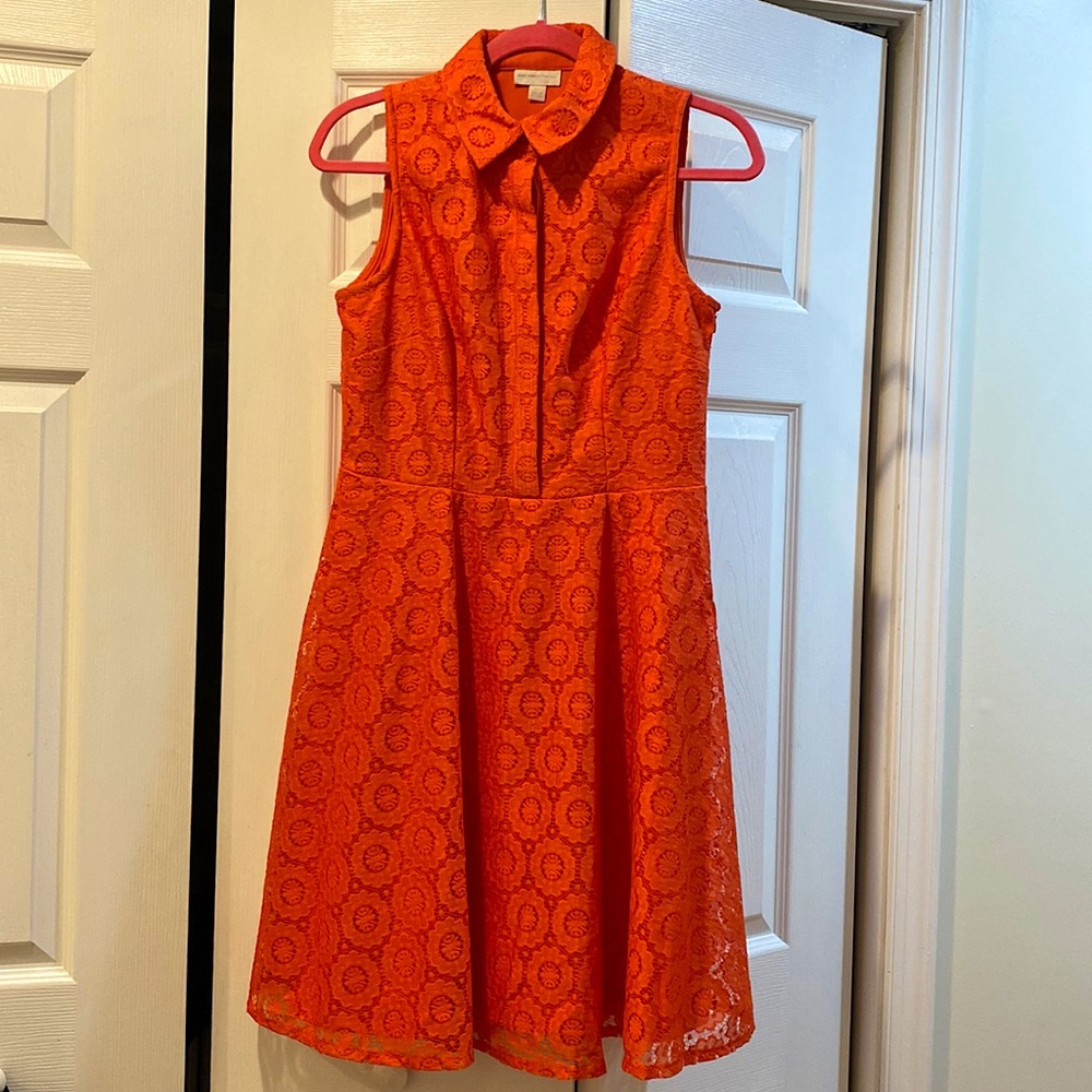 Vibrant fit and flare